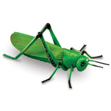Learning Resources Jumbo Insects