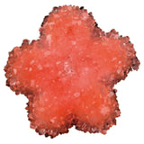 Andreu Toys Forms Crystal Growing - Laadlee