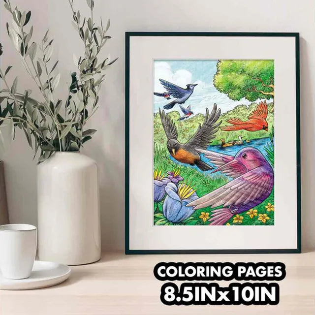 Crayola Bird Watching Coloring Book - 40 Pages