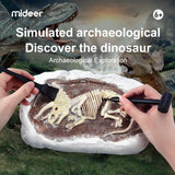 Mideer Revive a Pterosaur - Dig a Dinosaur Kit