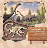 Mideer Dig a Dinosaur Kit - Brontosaurus