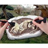 Mideer Dig a Dinosaur Kit - Triceratops