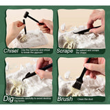 Mideer Dig a Dinosaur Kit - Triceratops