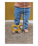 Trixie Wooden Pull Along Toy - Mr. Lion - Laadlee
