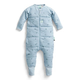 ergoPouch Sleep Onesie 2.5 TOG - Dragonflies