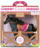 Lottie Seren the Welsh Mountain Pony