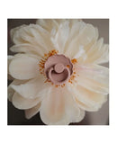 Frigg Daisy Silicone Baby Pacifier 0-6M, 2Pack, Blush/Cedar - Size 1 - Laadlee