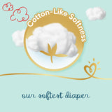 Pampers Premium Care Pants Diapers, Size 6, 16+kg, Unique Softest Absorption for Ultimate Skin Protection, 36 Count - Laadlee