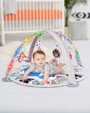 Skip Hop Vibrant Village Activity Gym - Laadlee