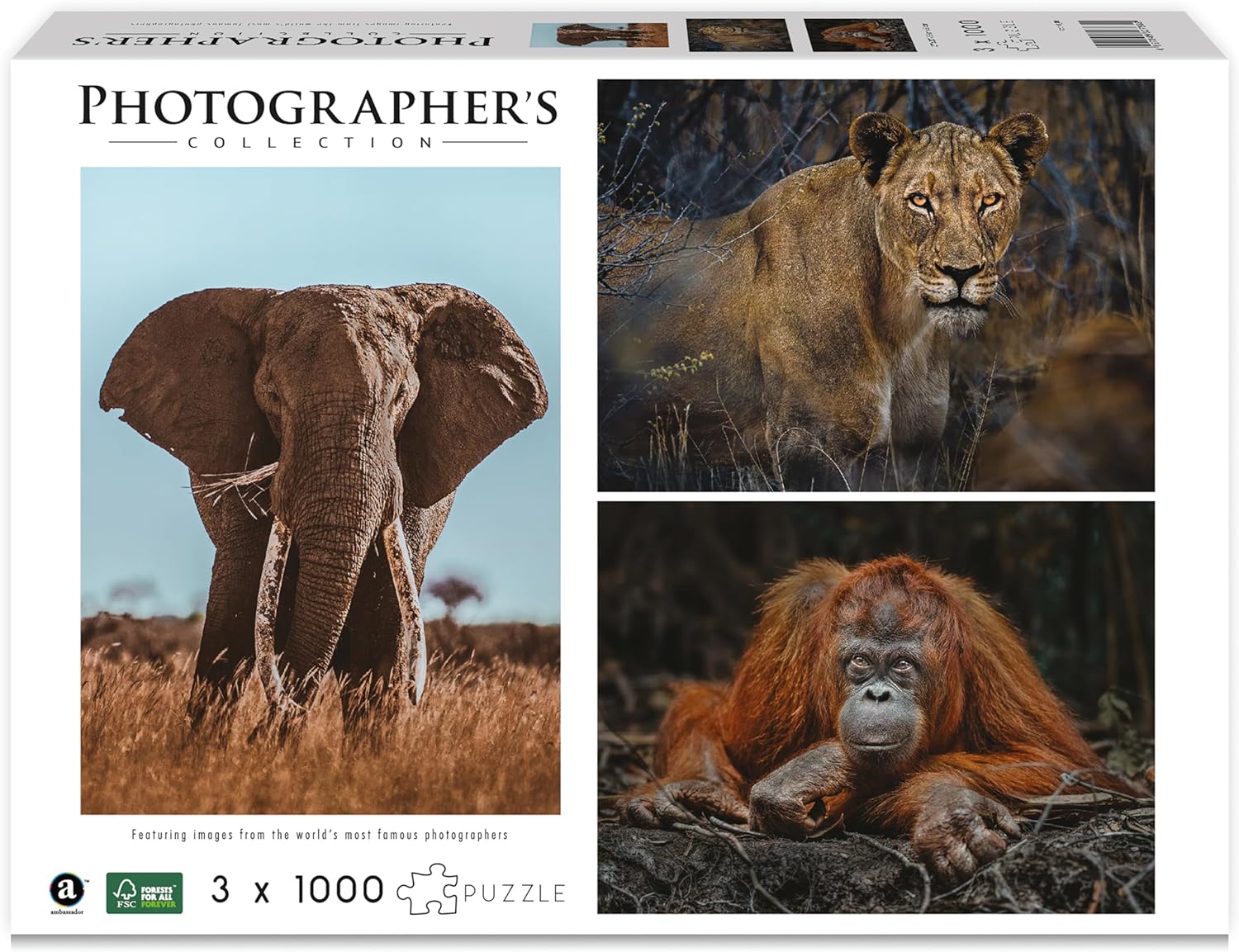 Ambassador - Photographers Collection - 1000 Pc. Puzzle Tri-Pack - Boyd #2 - Laadlee