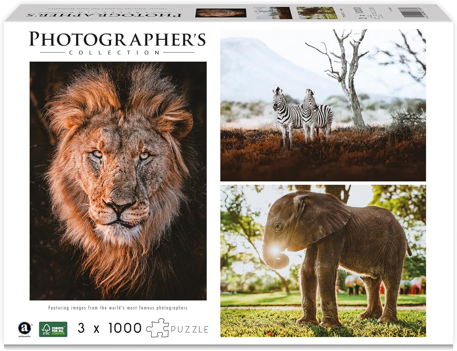 Ambassador - Photographers Collection - 1000 Pc. Puzzle Tri-Pack - Boyd #3 - Laadlee