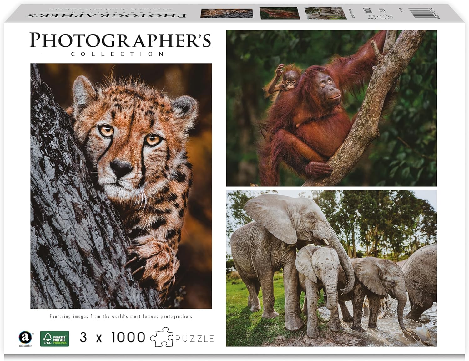 Ambassador - Photographers Collection - 1000 Pc. Puzzle Tri-Pack - Boyd #1 - Laadlee