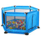 Pikkaboo Portable Playpen with 30 Free balls - Blue - Laadlee