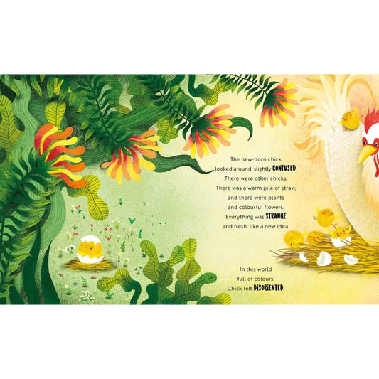 Sassi Picture Book - Happy As A Chick - Laadlee