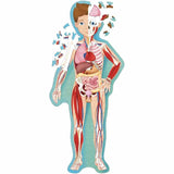 Sassi Travel, Learn and Explore - The World Of The Human Body - Laadlee