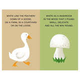 Sassi My First Library - Colours - Laadlee