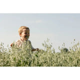 BIBS Colour 2 Pack Latex S2 - Sand / Pistachio - Laadlee