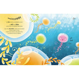 Sassi Sound Stories - In The Sea - Laadlee