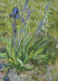 EuroGraphics Iris By Vincent Van Gogh 1000 Pieces Puzzle - Laadlee