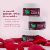 Mother Sparsh Rose & Beetroot Lip Scrub - 12ml - Laadlee