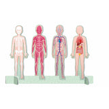 Sassi The Ultimate Atlas - Human Body - Laadlee