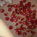 Frigg Daisy Latex Baby Pacifier 6M-18M, 1Pack, Scarlet - Size 2 - Laadlee