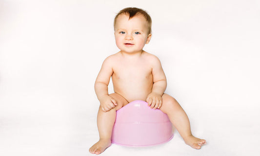 Top Features To Look For In A Potty Seat