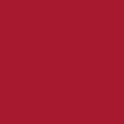 cricut-smart-iron-on-33cm-x-273cm-1-sheet-red-3