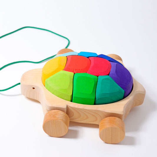 Grimm's Rainbow Turtle