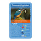 Winning Moves Top Trumps Birds Card