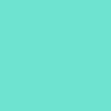 cricut-smart-vinyl-permanent-33cm-x-91cm-mint-1