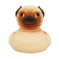 Lilalu Rubber Pug Duck