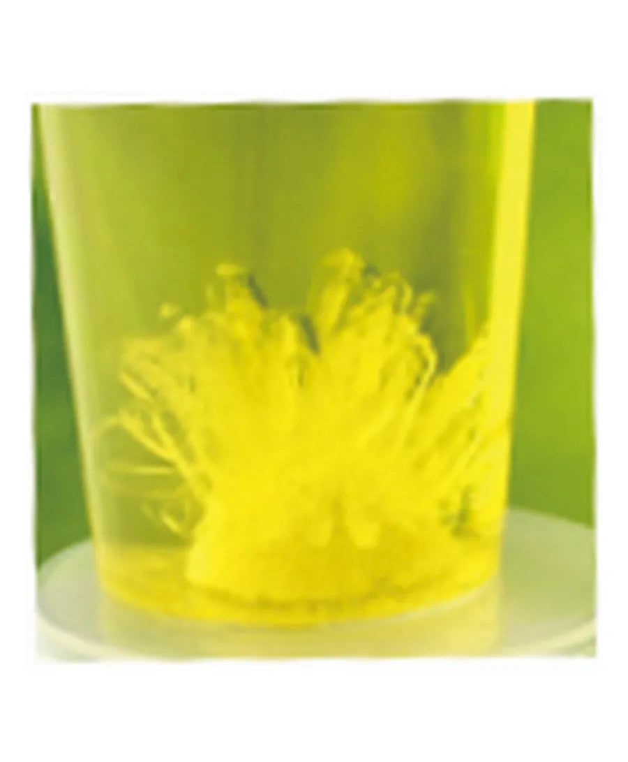 Andreu Toys Seeds Crystal Growing - Laadlee