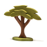 Ostheimer African Tree with support