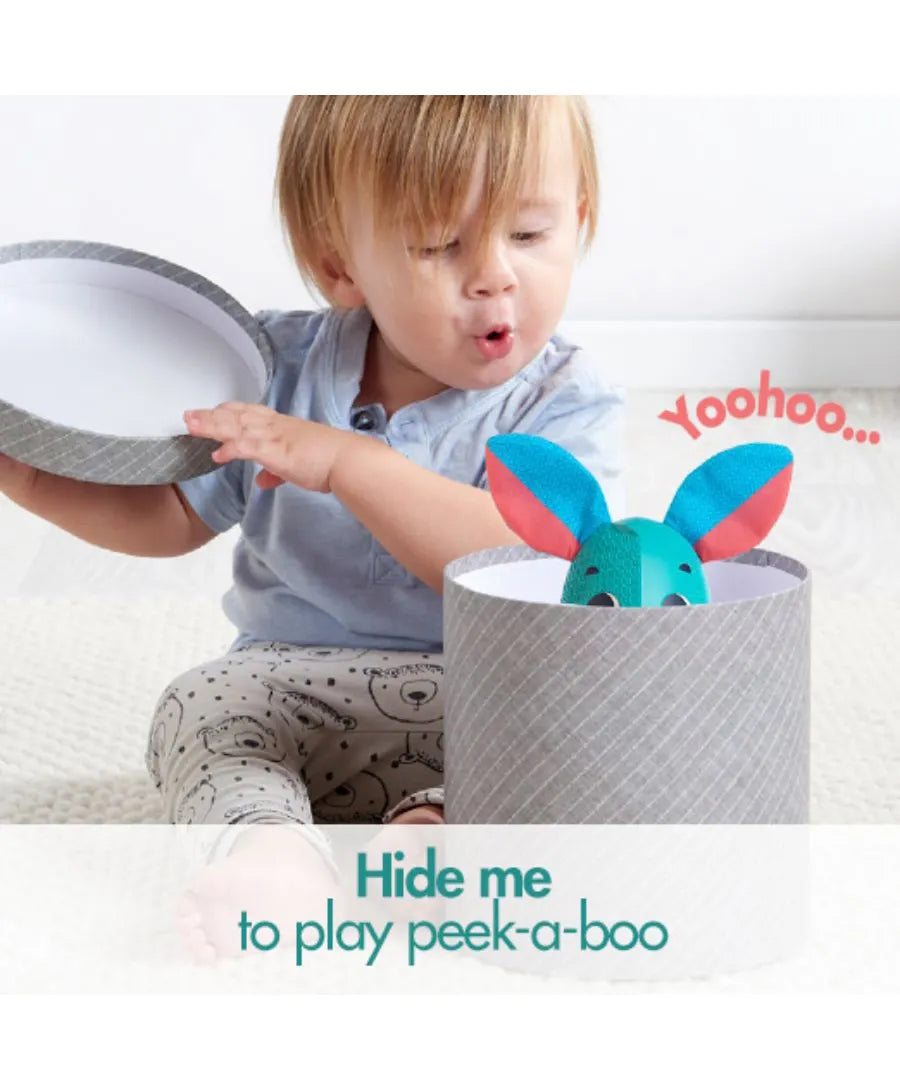 Tiny Love Thomas The Rabbit Jitter Chime Stroller Toys - Meadow Days - Laadlee