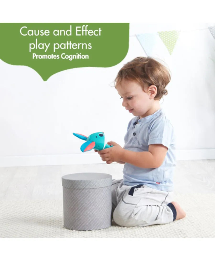 Tiny Love Thomas The Rabbit Jitter Chime Stroller Toys - Meadow Days - Laadlee