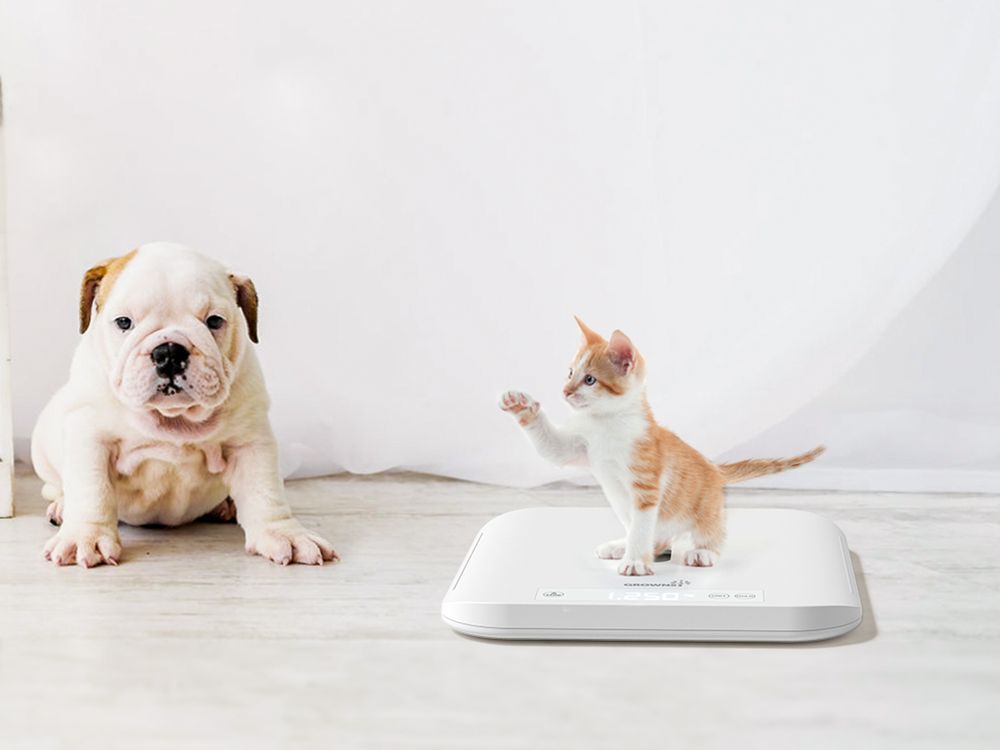grownsy-multifunctional-baby-pet-scale-8