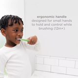 Ubbi Training Set for Babies and Toddlers, 2-Stage Toothbrush Set WIth Silicone and Soft Bristle - Purple + Zest