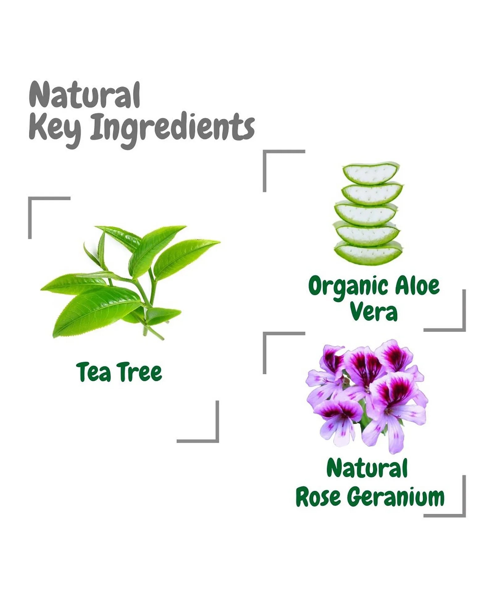 Aleva Naturals Bamboo Baby Instant Bath Towelettes - 25ct - Laadlee