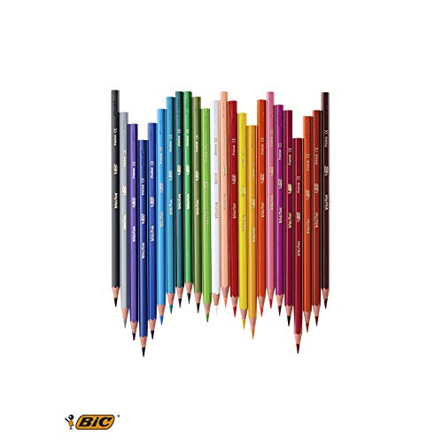 BIC Evolution Coloured Pencils Set  -  14 + 4 Pcs