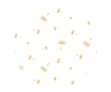 Babyhood Amani Bebe Standard Sheet - Dandelion