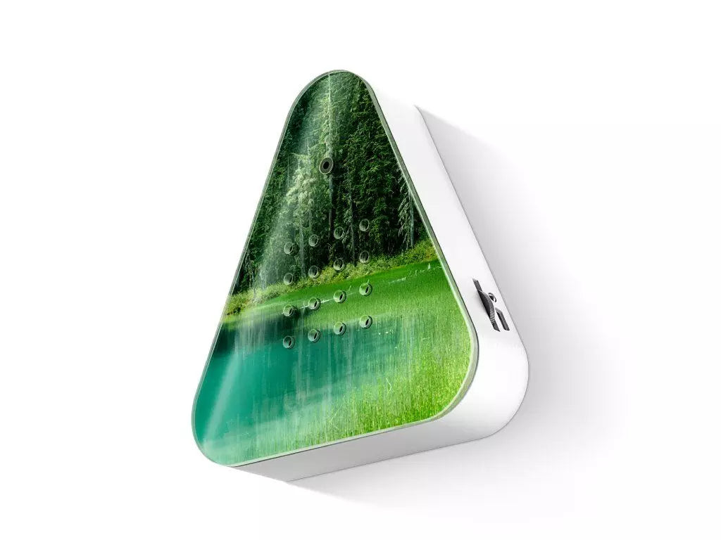 lakeside-relaxound-box-forest-lake-5