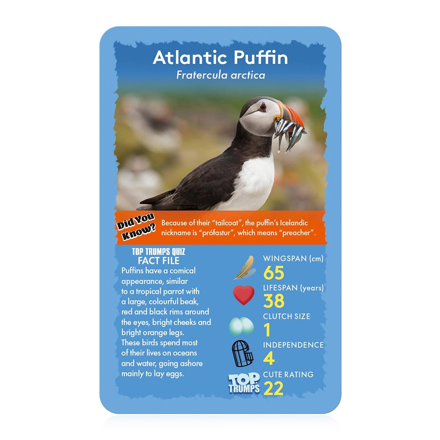 Winning Moves Top Trumps Birds Card