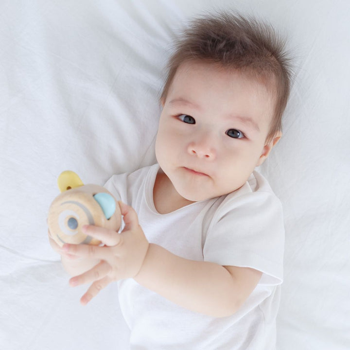plantoys-peek-a-boo-roller-5