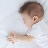 plantoys-peek-a-boo-roller-4