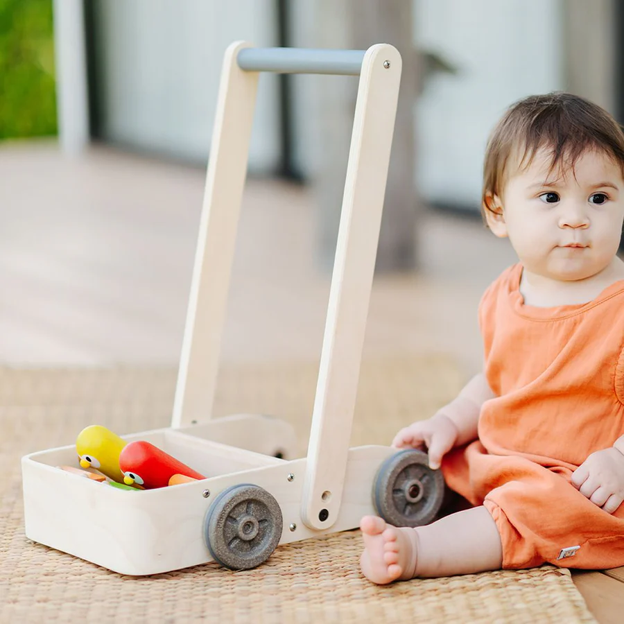 plantoys-musical-bird-walker-5