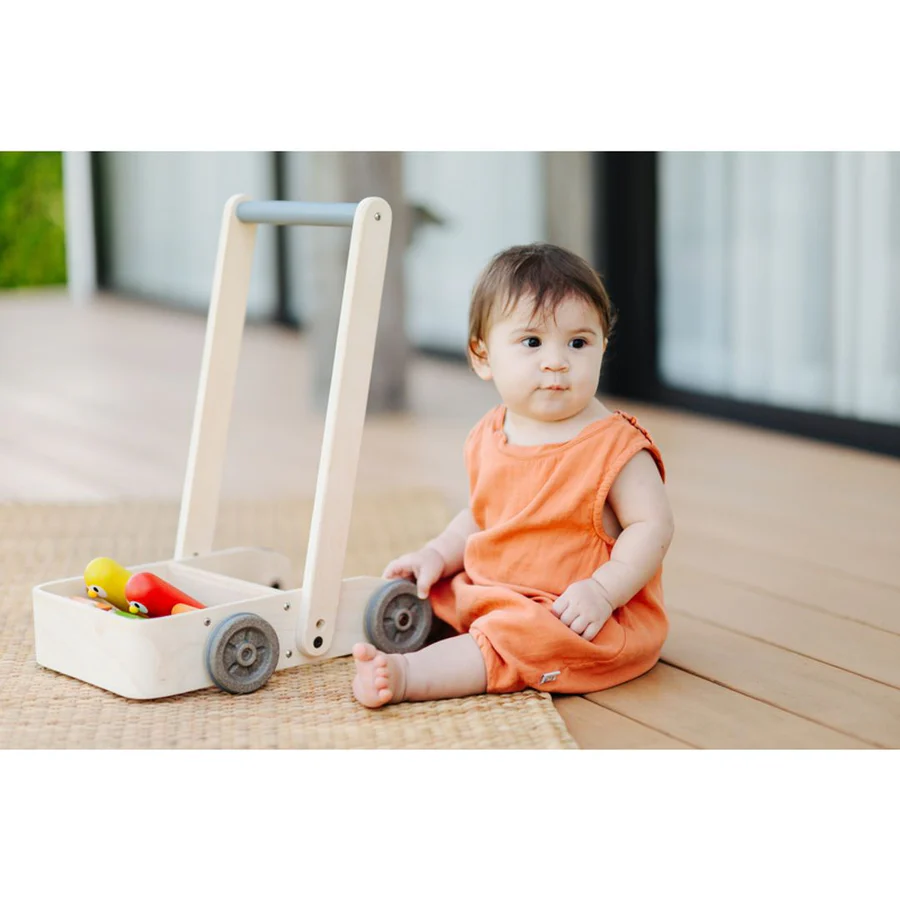 plantoys-musical-bird-walker-6