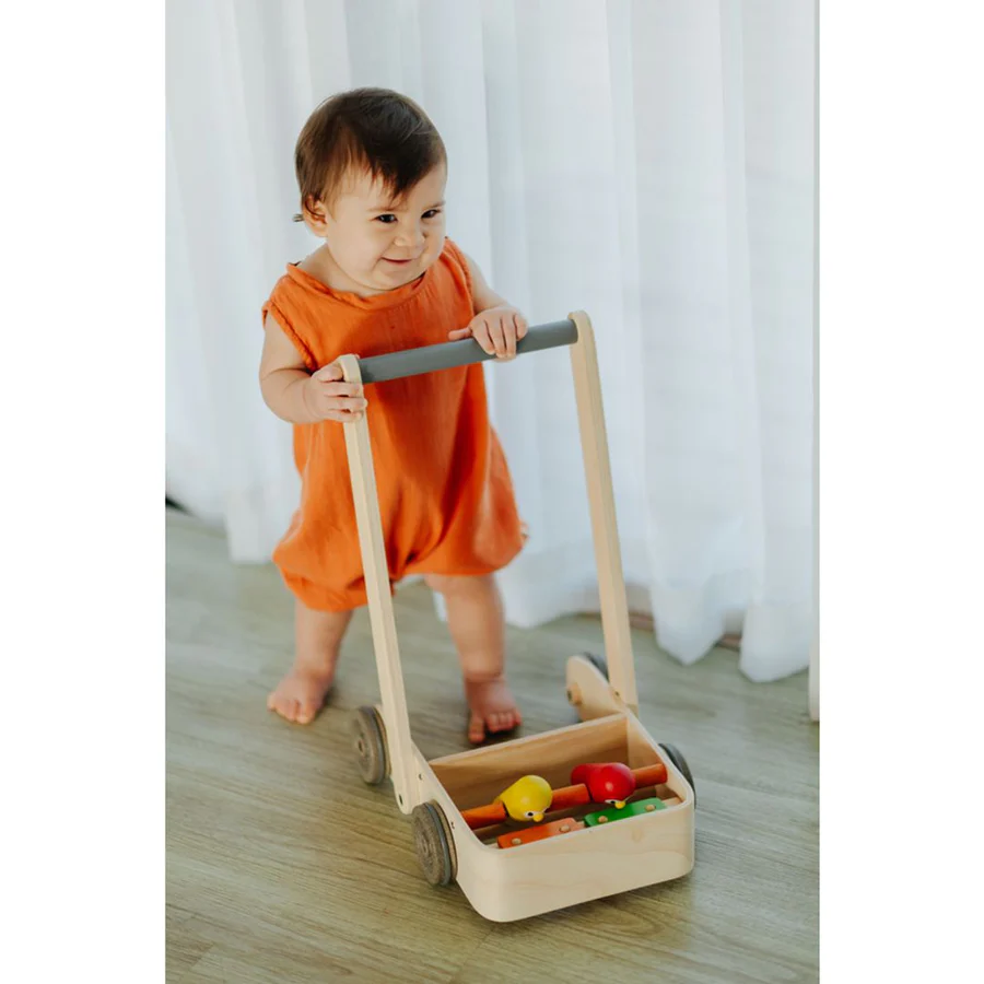 plantoys-musical-bird-walker-7