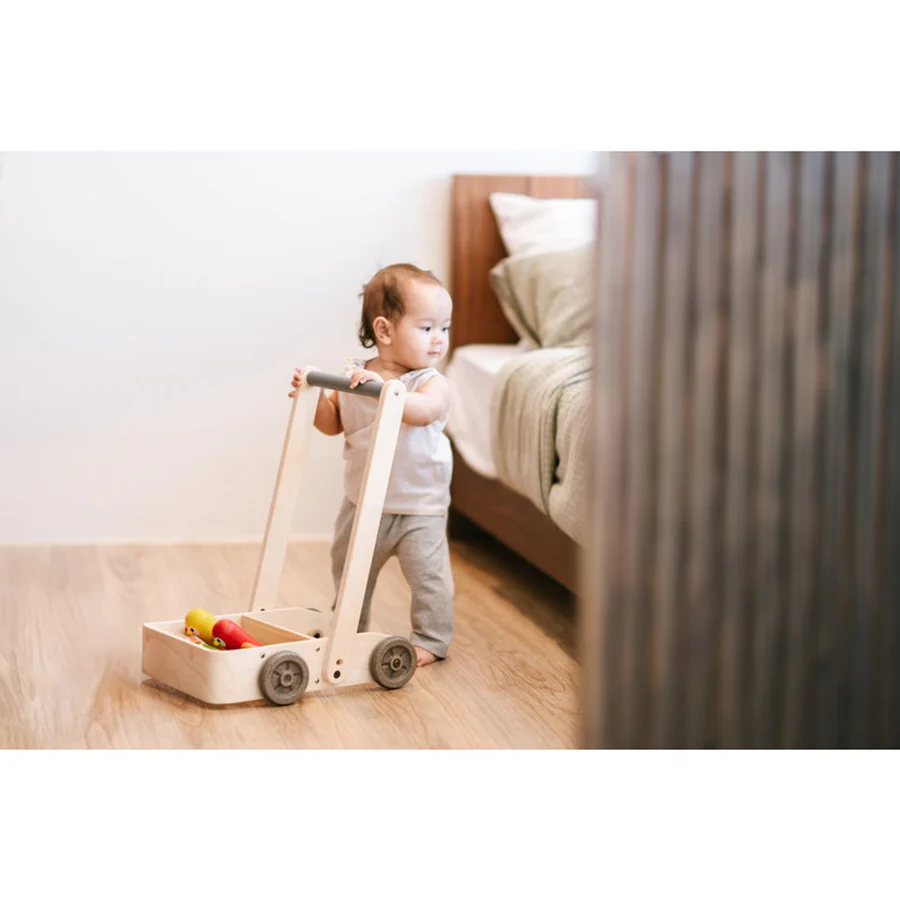 plantoys-musical-bird-walker-8