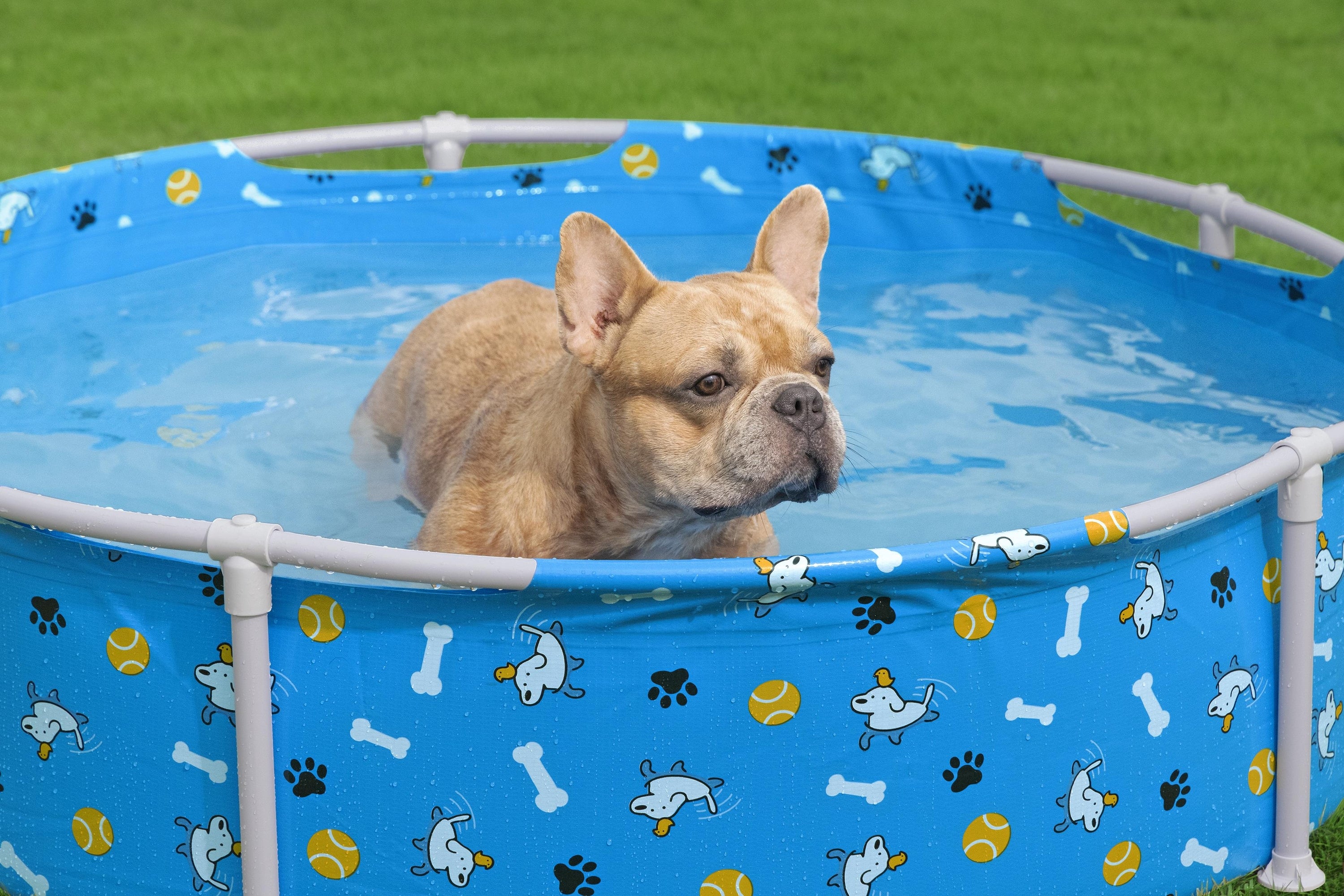 bestway-pool-fetchin-pet-play-122x30-5cm-9